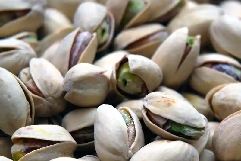 Pistacchio